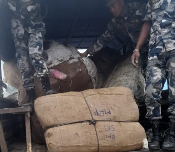 तस्करीको अखडा बन्दै सिराहा, एक हप्तामा दुई करोडको कपडा बरामद