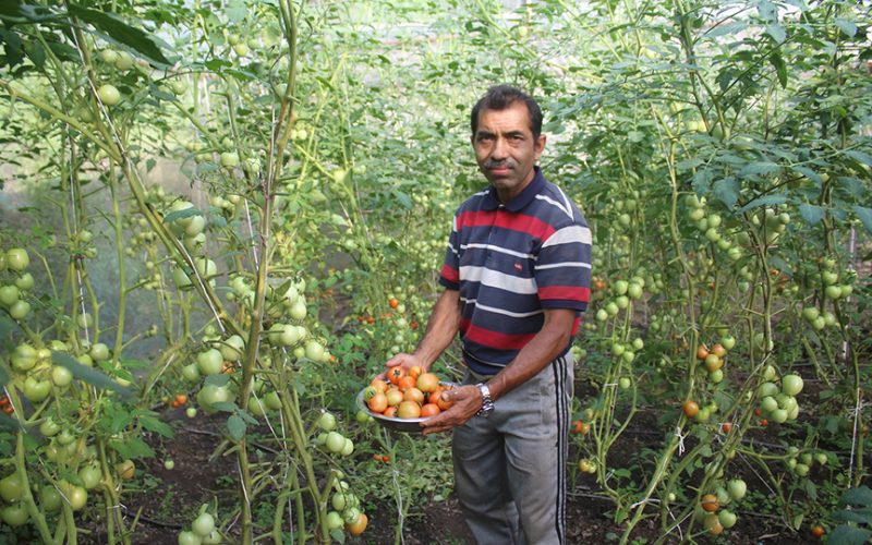 म्याग्दीमा कृषि उपज बिक्री नहुँदा किसान हैरान